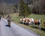 vergr&ouml;ssern